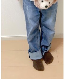 petit main | デニムパンツ