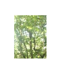 宗像大社 | その他