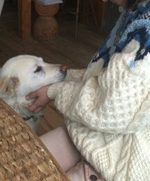 アイドル | 白いいぬ もち(その他)