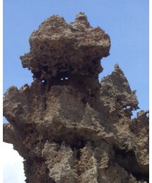 okinawa | その他