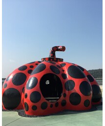 草間彌生 赤かぼちゃ | その他