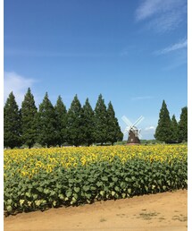 あけぼの山 | その他