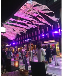 日本橋 | その他