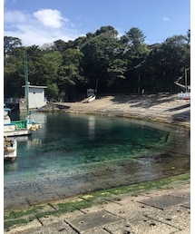 伊豆 | その他