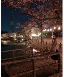 夜桜🌸 | その他