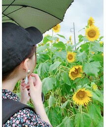 🌻 | その他
