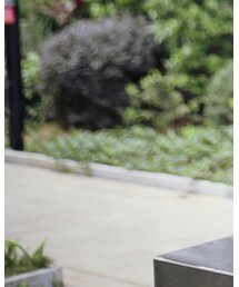 BSX | シャツ/ブラウス