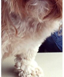 GB SKINS | カバーオール