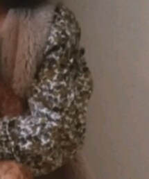 GAP | ダウンベスト