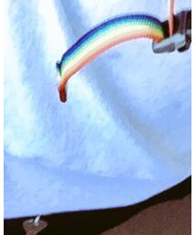 Champion | ジャケット/アウター