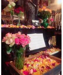 Rose Garden🌹 | その他