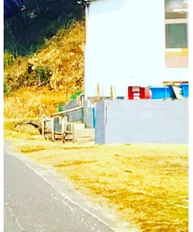 ZARA | デニムパンツ