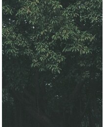 「TEEN TEAM」 | カーゴパンツ