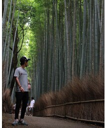 竹林の道 | トップス