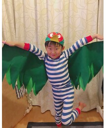 キジ🦆🦆🦆 | その他