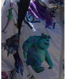 go slow caravan | ナイロンジャケット