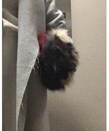 ？ | クラッチバッグ