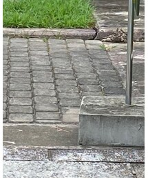 1LDK | トートバッグ