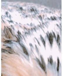 EMODA | ジャケット/アウター