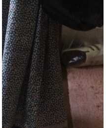 Crisp | ワンピース