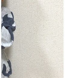 ZARA KIDS | スウェット