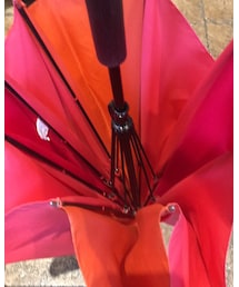 BEAUTY&YOUTH UNITED ARROWS | 長傘