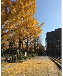 県民ホール前 | その他