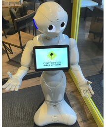 pepperくん | その他