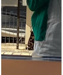 ZARA | ショルダーバッグ