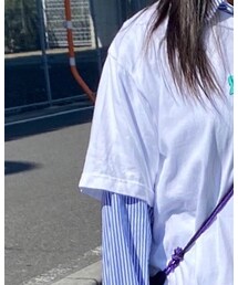 birdog | Tシャツ/カットソー