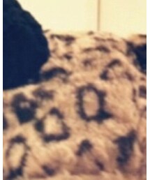 HOLIDAY | その他アウター