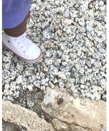 petit main | パンツ