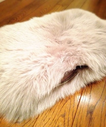 MERCURYDUO | もふもふクラッチ(クラッチバッグ)