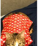 ねこの「ジャケット/アウター(その他アウター)」