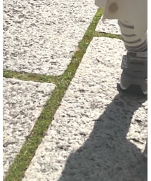 NEW BALANCE | スニーカー