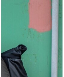 Carhartt WIP | その他アウター