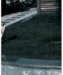 wisdom | カーゴパンツ