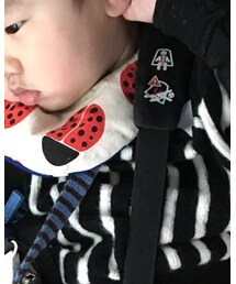 香草兜 | その他