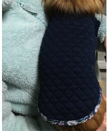 UNIQLO | ワンピース