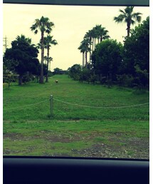 公園 | その他