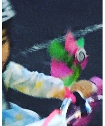 FLYING TIGERS | 雑貨/ホビー