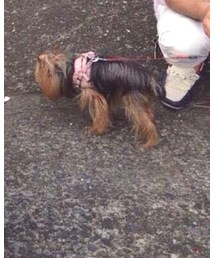 ぷり | 福袋/福箱