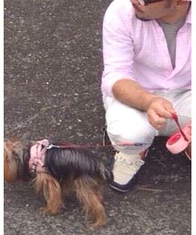 HVC | その他パンツ