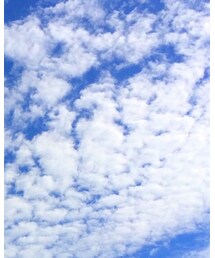 STANDARD CALIFORNIA | キャップ