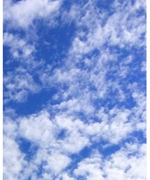 MOSCOT | サングラス