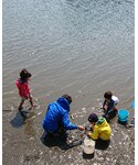 🐚の「その他(その他)」