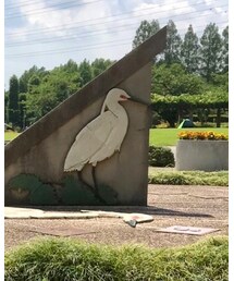 白サギ | その他