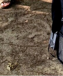 カインズホーム | アウトドア/スポーツ