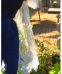 earth music&ecology | ジャケット/アウター