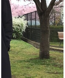 GLOBAL WORK | その他パンツ